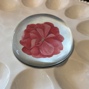 Geranium Fleuret 4 Dome Paperweight