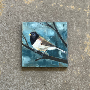 Junco No. 03 by Cody Blomberg