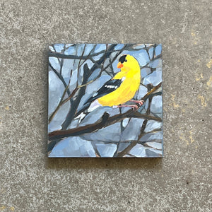 Goldfinch No. 03 by Cody Blomberg