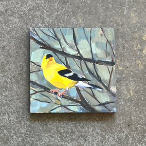 Goldfinch No. 04 by Cody Blomberg