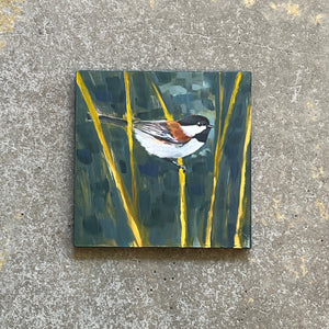 Chickadee No. 03 by Cody Blomberg