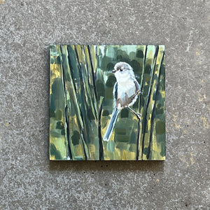 Bushtit by Cody Blomberg