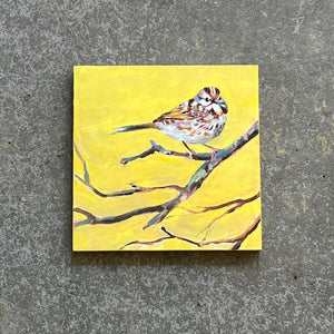 Sparrow by Cody Blomberg