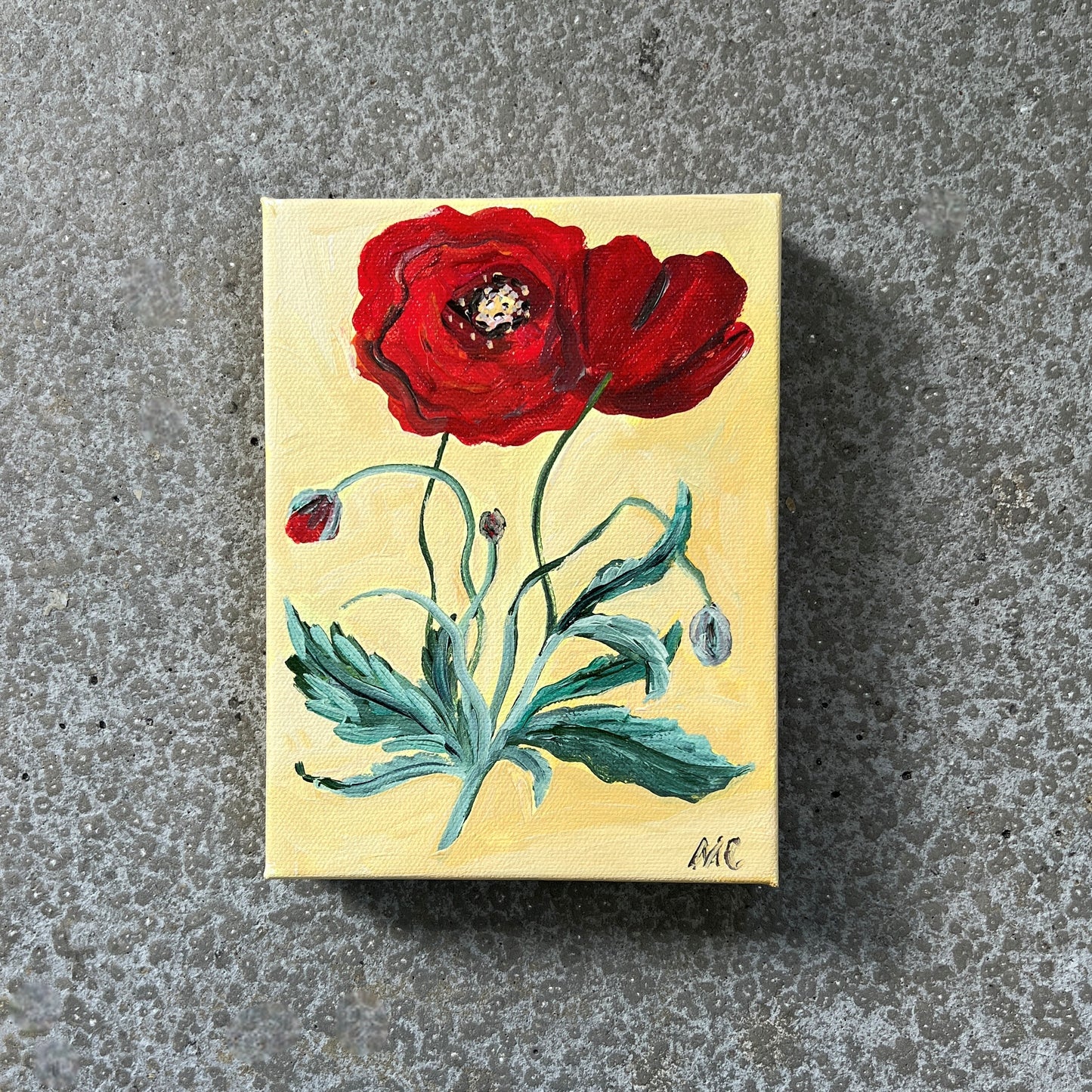 Poppy by Mindy Carpenter