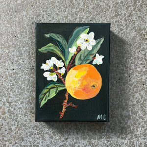 Orange Blossom by Mindy Carpenter