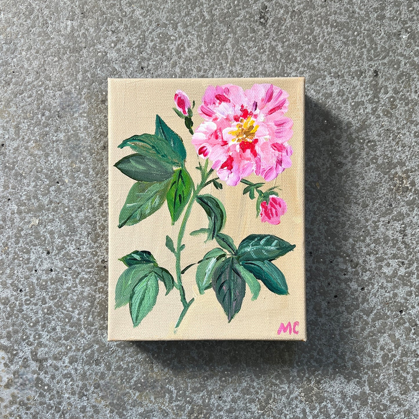 Pink Peony No. 04 by Mindy Carpenter