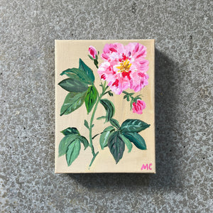 Pink Peony No. 04 by Mindy Carpenter