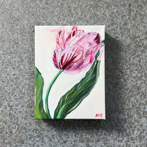 Pink Tulip by Mindy Carpenter