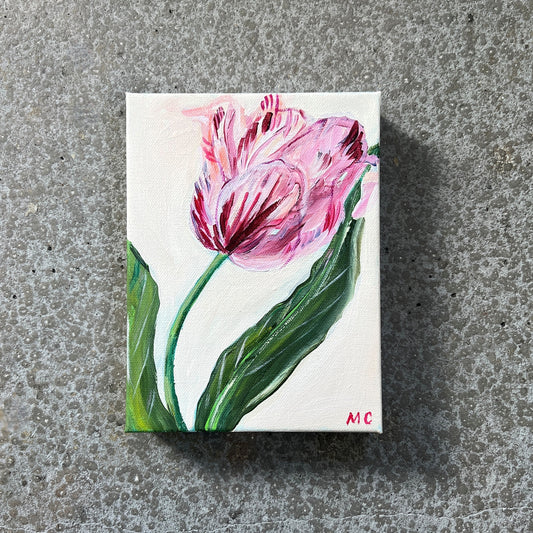 Pink Tulip by Mindy Carpenter