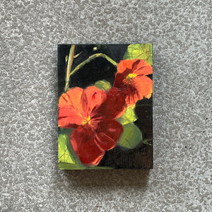 Nasturtiums by Donna Dumont