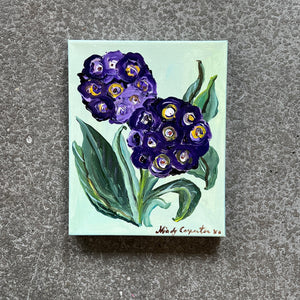 Purple Primroses by Mindy Carpenter