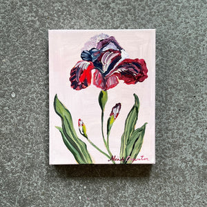 Magenta Iris by Mindy Carpenter