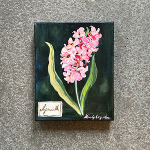 Pink Hyacinth by Mindy Carpenter
