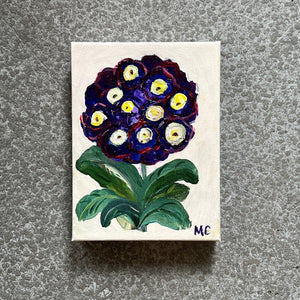 Purple Primrose by Mindy Carpenter