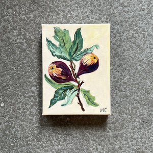 Figs by Mindy Carpenter