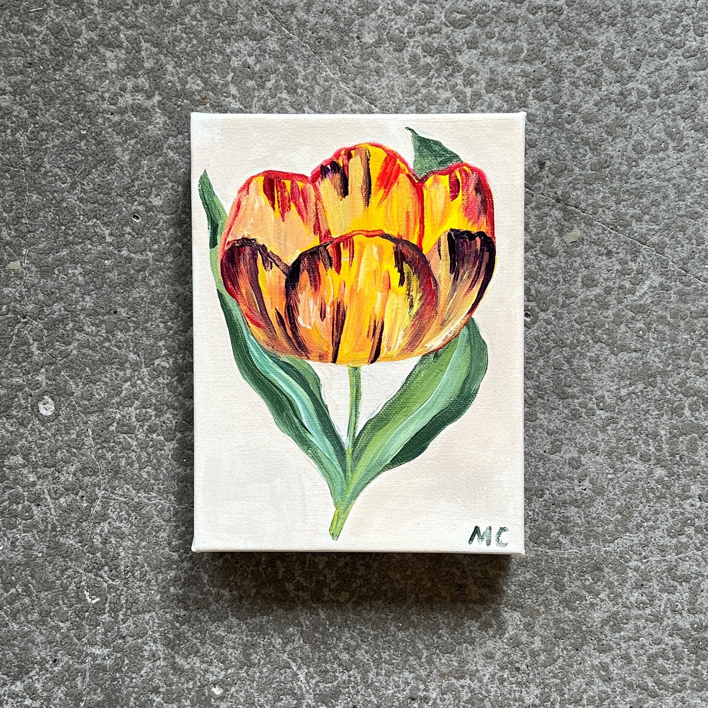 Yellow & Red Tulip by Mindy Carpenter