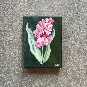 Magenta Hyacinth by Mindy Carpenter