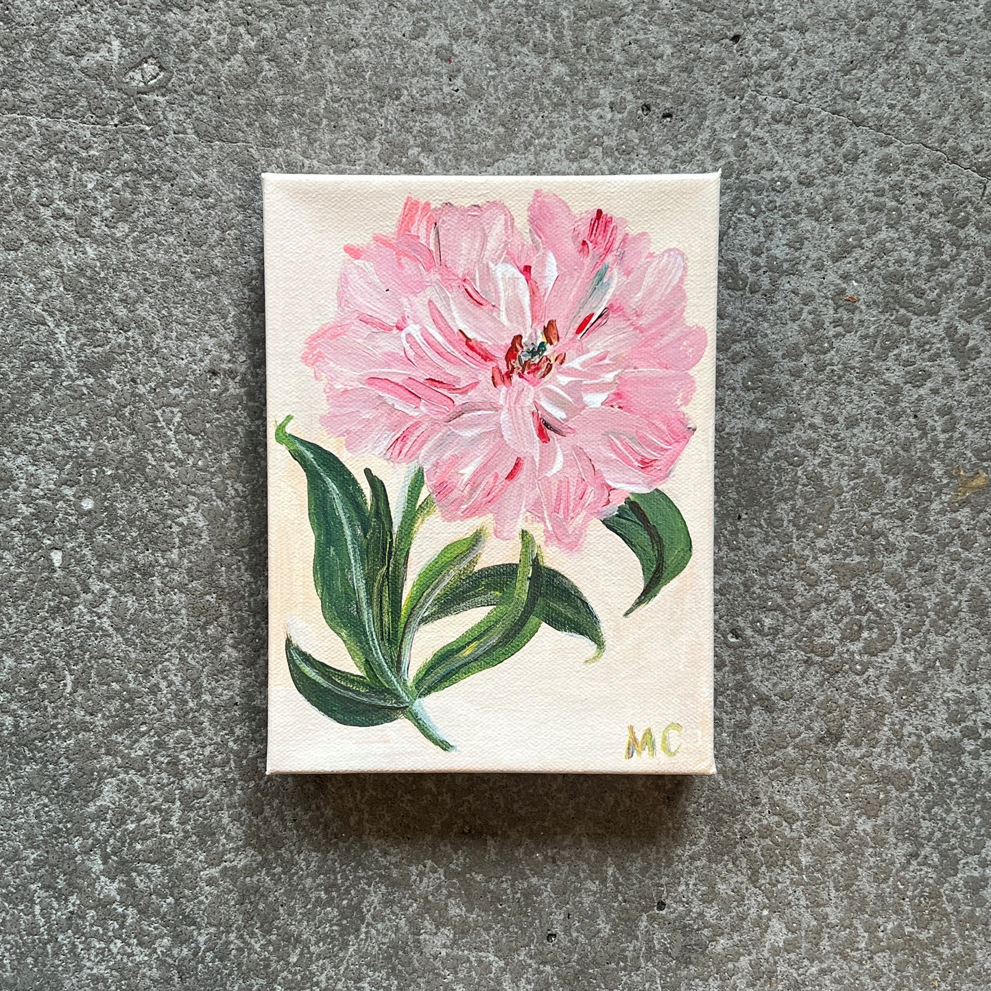 Pink Peony No. 05 by Mindy Carpenter