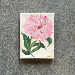 Pink Peony No. 05 by Mindy Carpenter