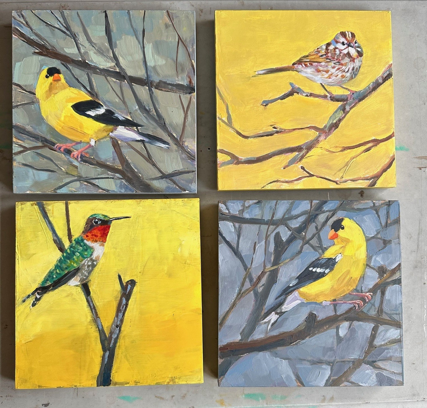 Hummingbird No. 02 by Cody Blomberg