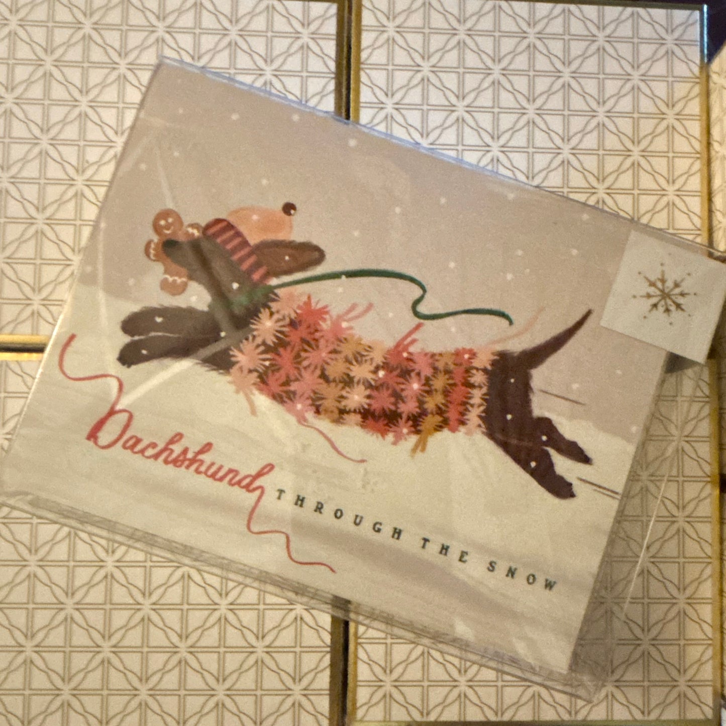 Dashing Dog Boxed Cards