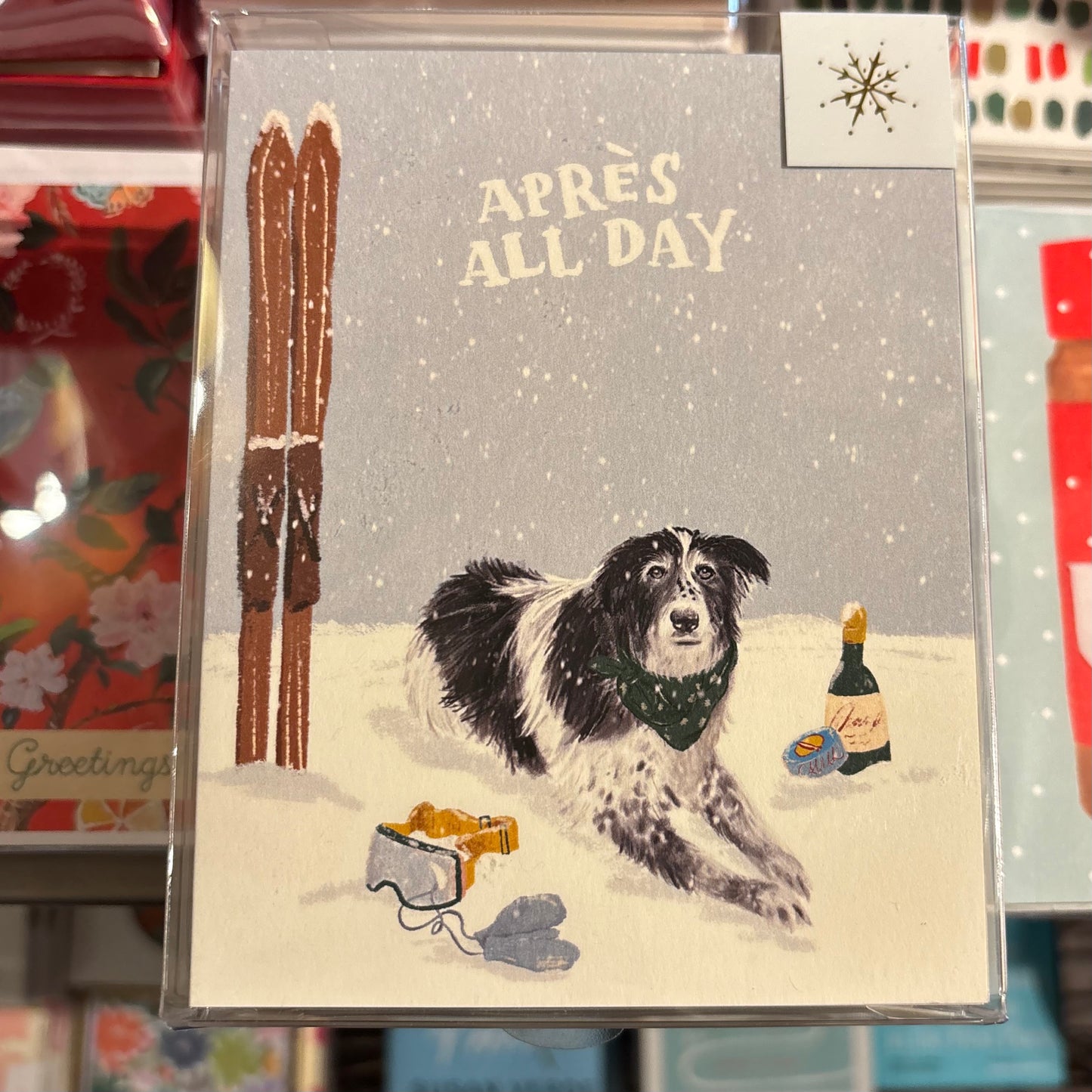 Apres All Day Boxed Cards