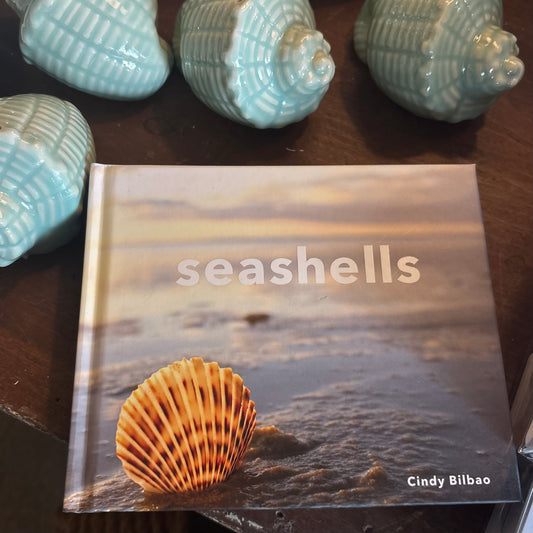 Seashells
