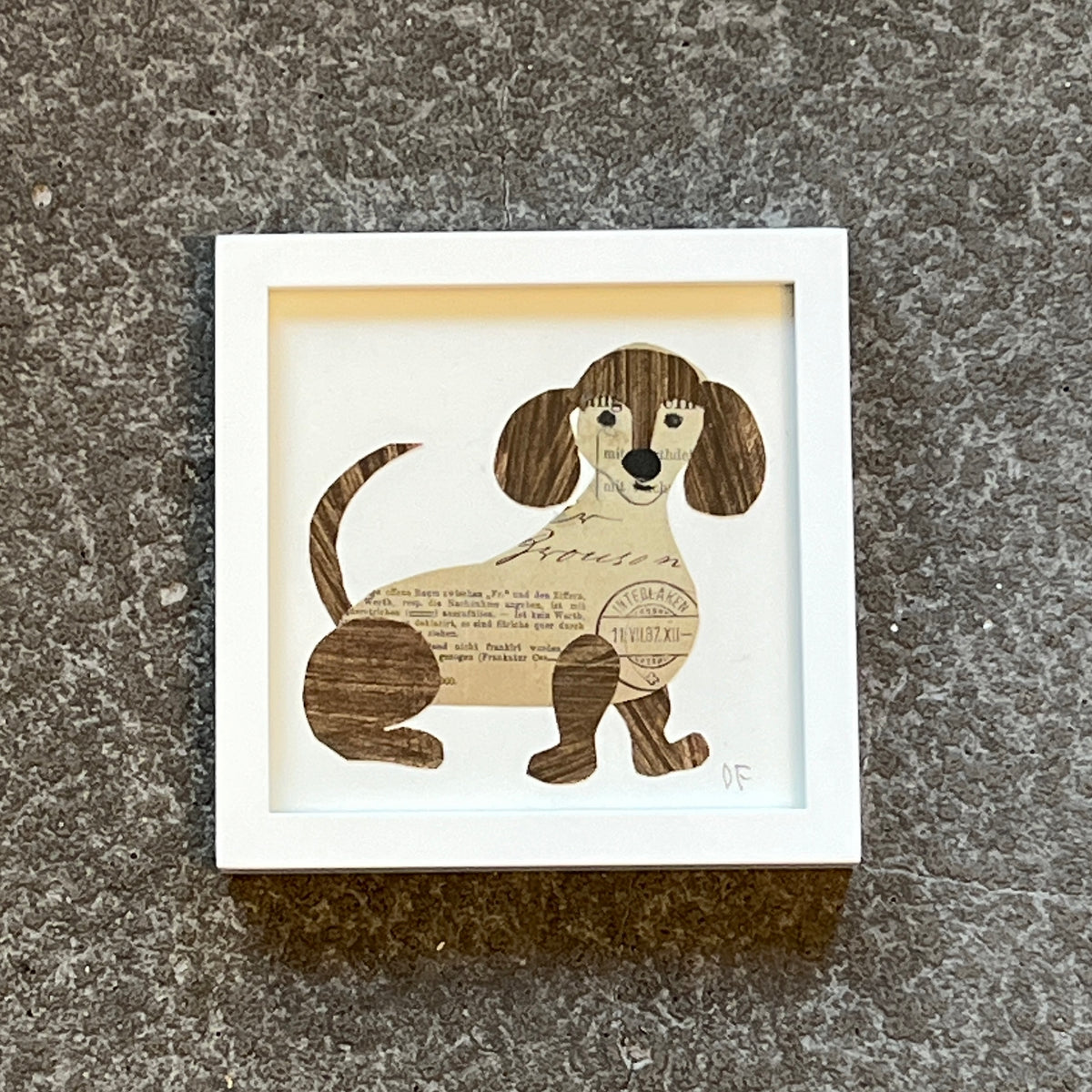 Dachshund by Denise Fiedler