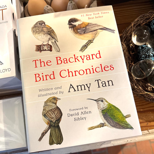 The Backyard Bird Chronicles