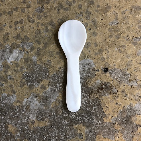 Small Sea Shell Spoon Watson Kennedy Small Sea Shell Spoon Watson Kennedy