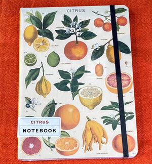 Citrus Notebook