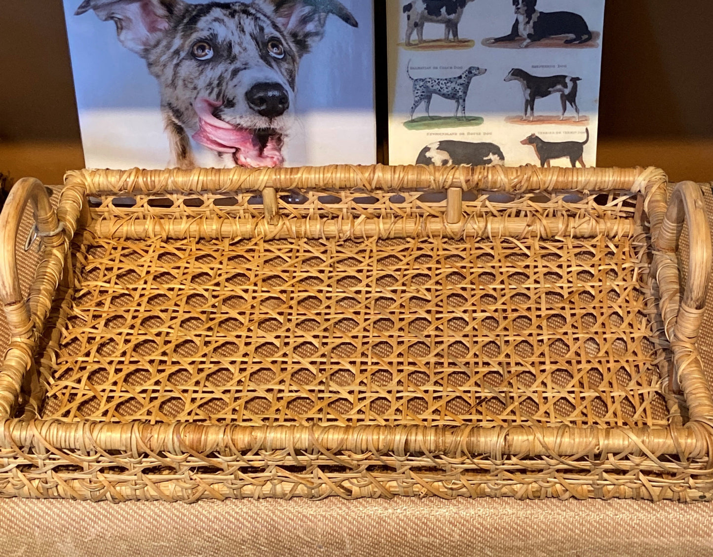 Cane Wrapped Tray with Handles