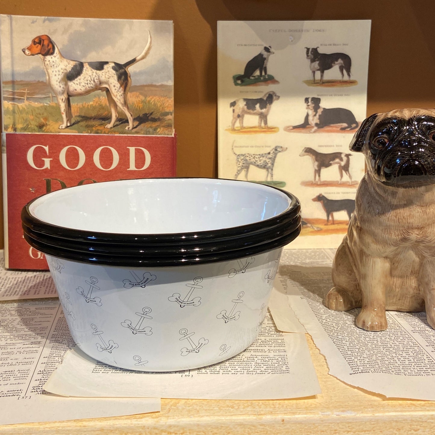 Pet Water Bowl with White Anchor