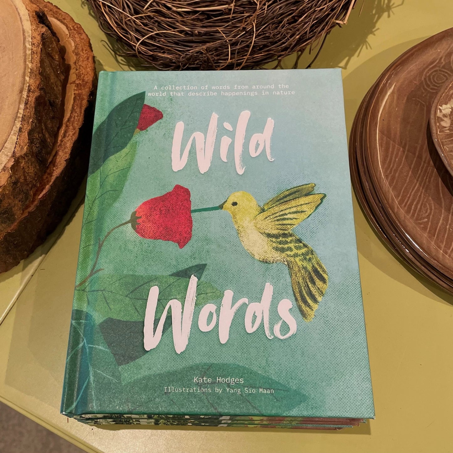 Wild Words Bird Book