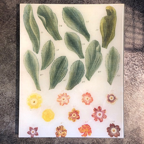 Petals Book Page Tray