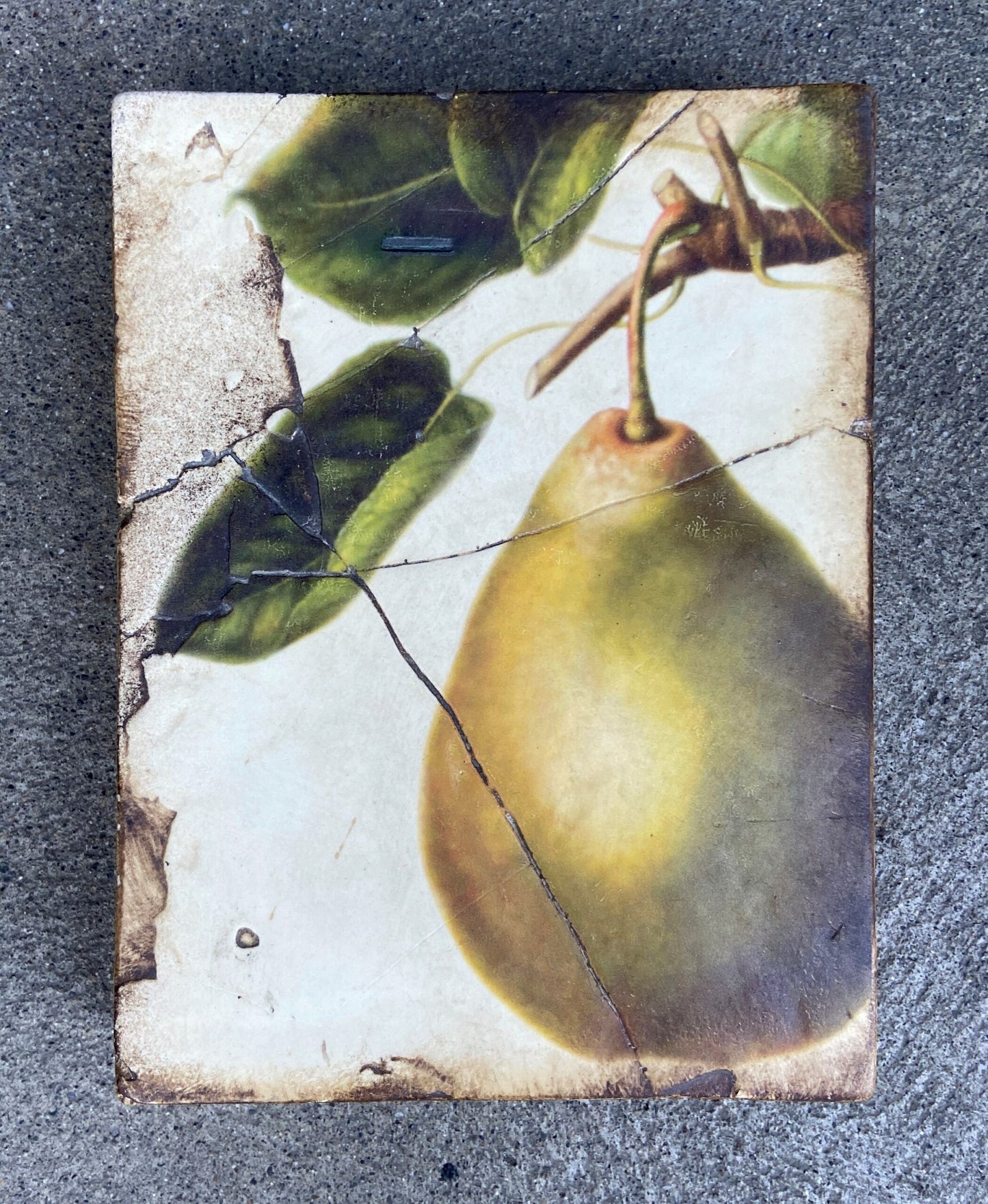 Pear, Retired