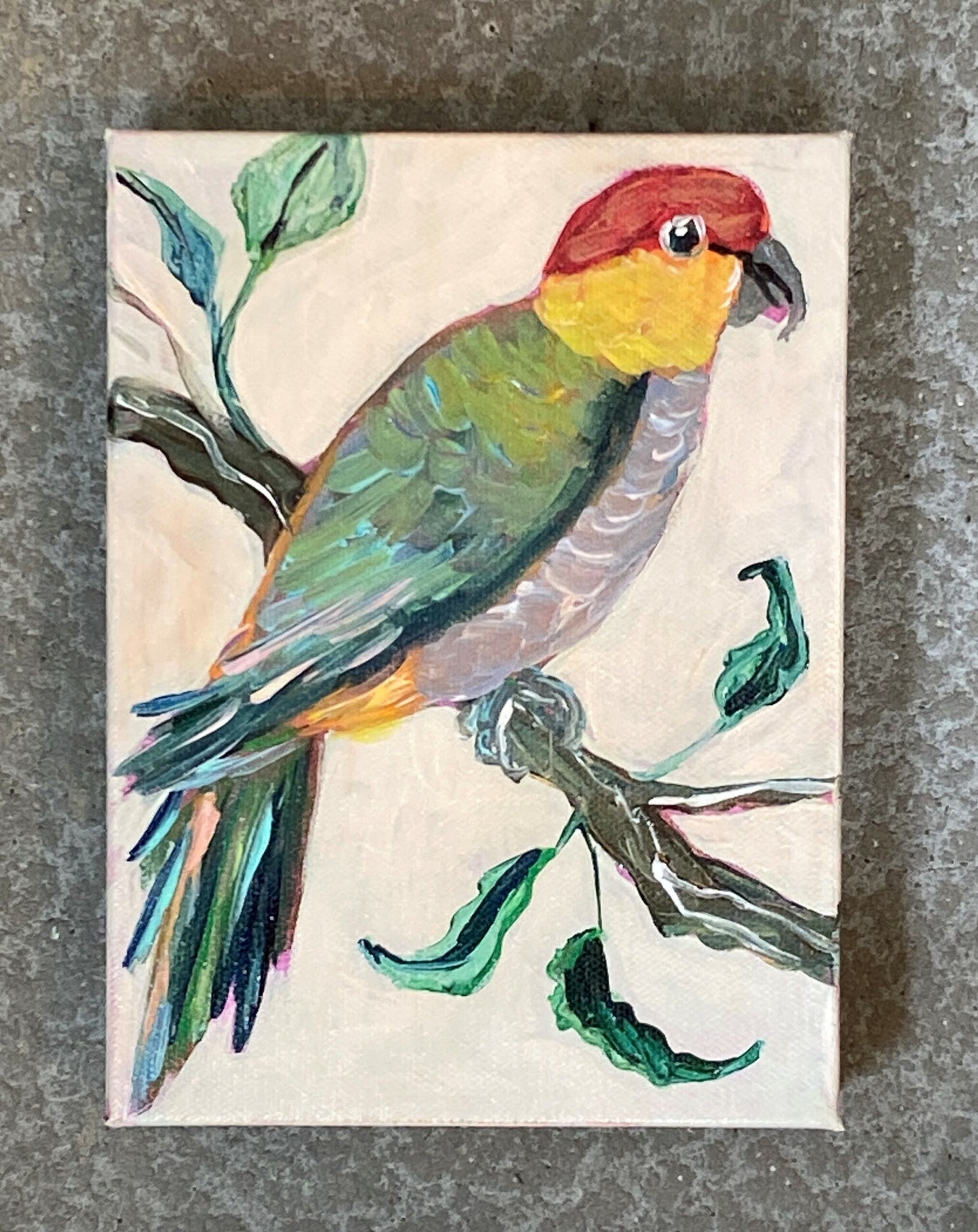 Green Feathered Parrot by Mindy Carpenter