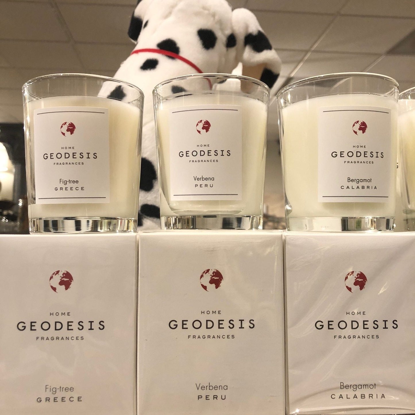 Geodesis Fig Tree Candle