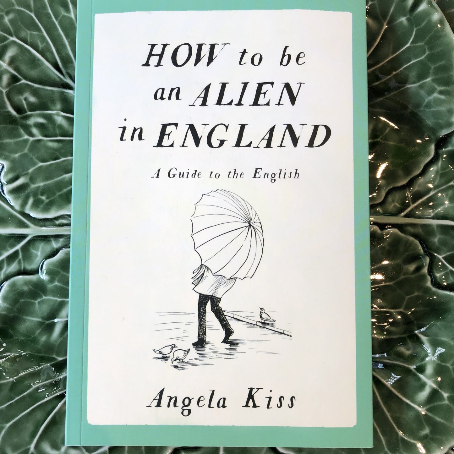 How to be an Alien in England