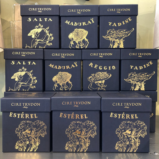 Trudon Salta Candle