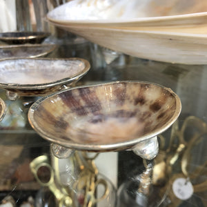 Silver Limpet Salt Cellar