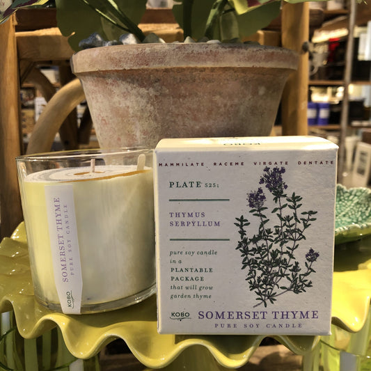 Somerset Thyme Candle