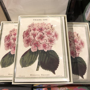 Hydrangea Thank You Cards